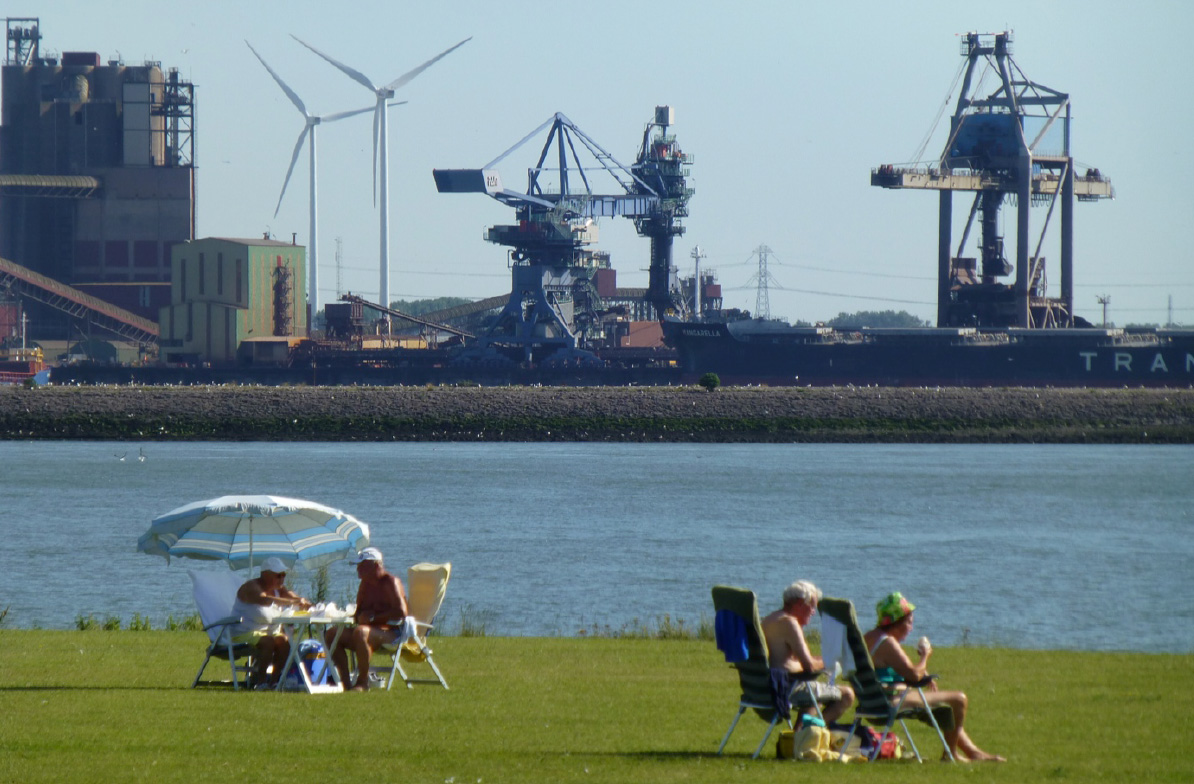 IABR2014.jpg
