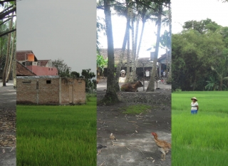 KrillIndonesieProtoTamansari_th.jpg KrillIndonesieProtoTamansari_th.jpg