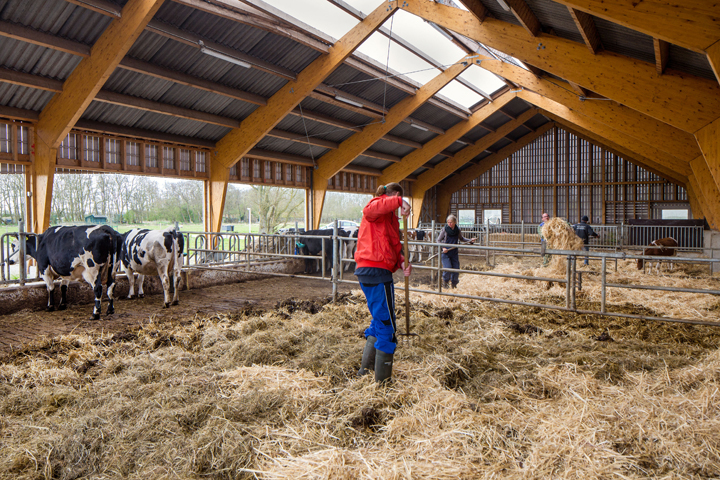 Positieve gezondheid en ruimtelijke vormgeving zorg.jpg
