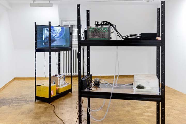 Thirteen projects from Digital Culture programme’s third round receive support thedutchsavannahweb.jpg