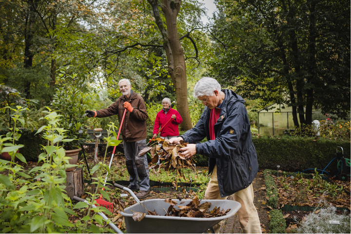 Moderne hofjes voor stadsveteranen hr2658fvdb20171024web.jpg