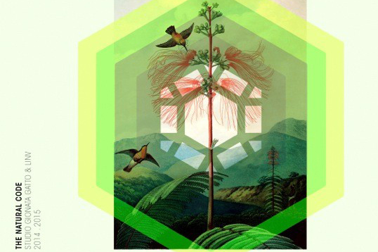 GionataGattoSmartCurtains_th.jpg GionataGattoSmartCurtains_th.jpg