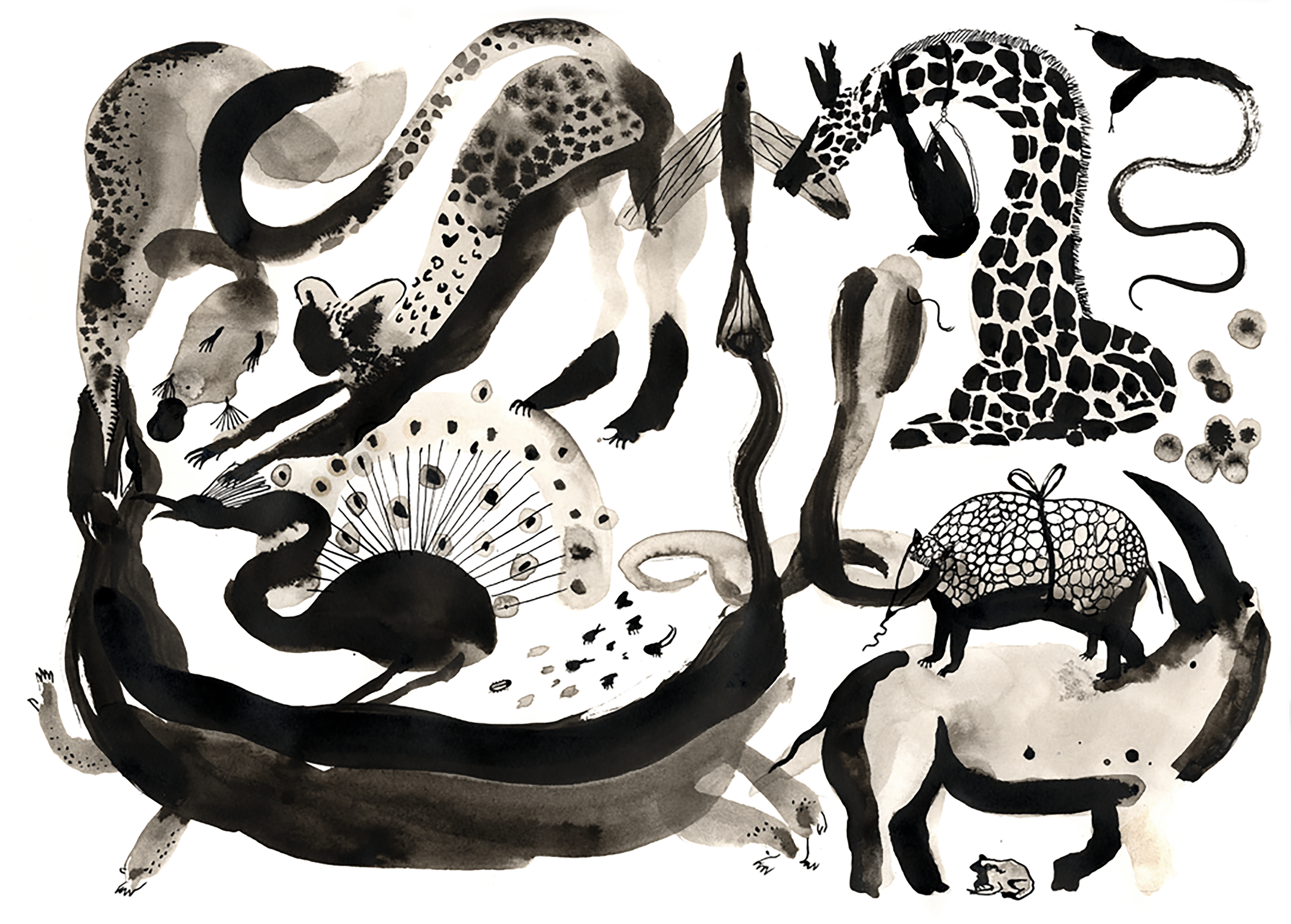 Digital Biodiversity 007representatieveafbeelding.jpg