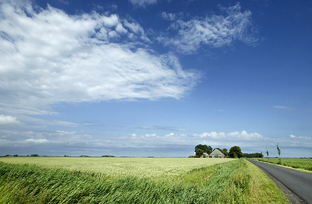 ENDELK (Gronings voor ‘eindelijk’) - casus Middag-Humsterland middaghumsterland.jpg