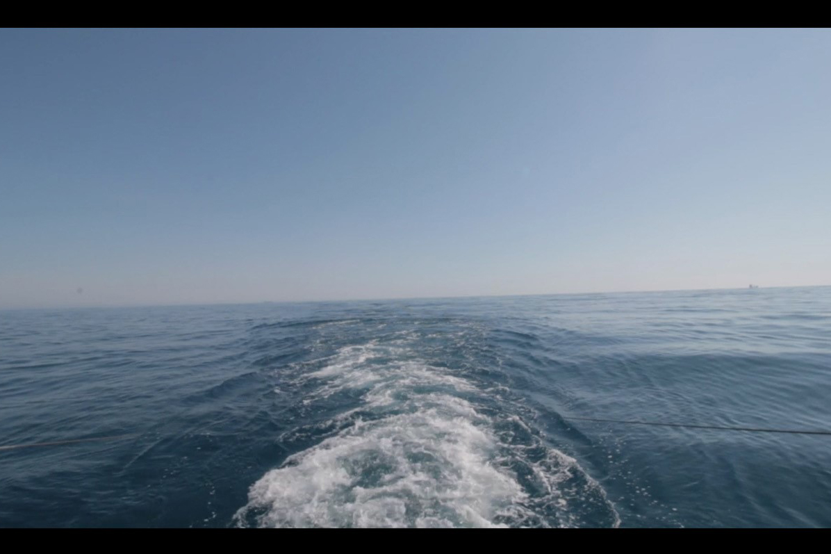Architecture Biennale: Shore Leaves shoreleavesguidittavendrame2015web.jpg