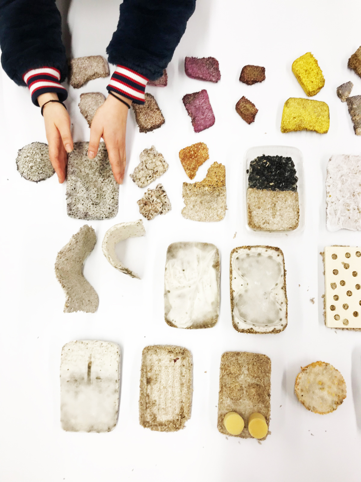 X Fungi: Mycelium and the importance of physical touch 008representatieveafbeelding.jpg
