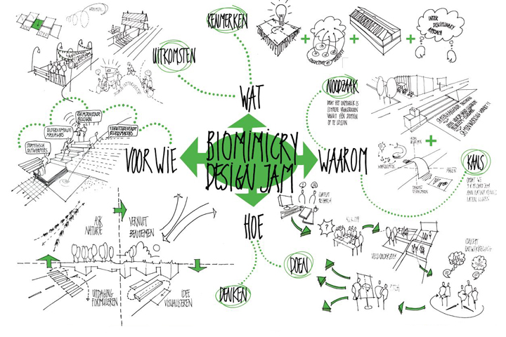 De natuur als leermeester voor slimme mobiliteit biomimicrydesignjamweb.jpg