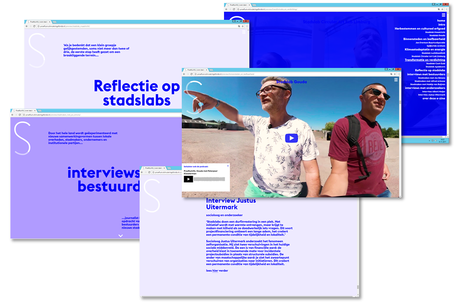 E-zine ProeftuinNL | over stadslabs ezine.png