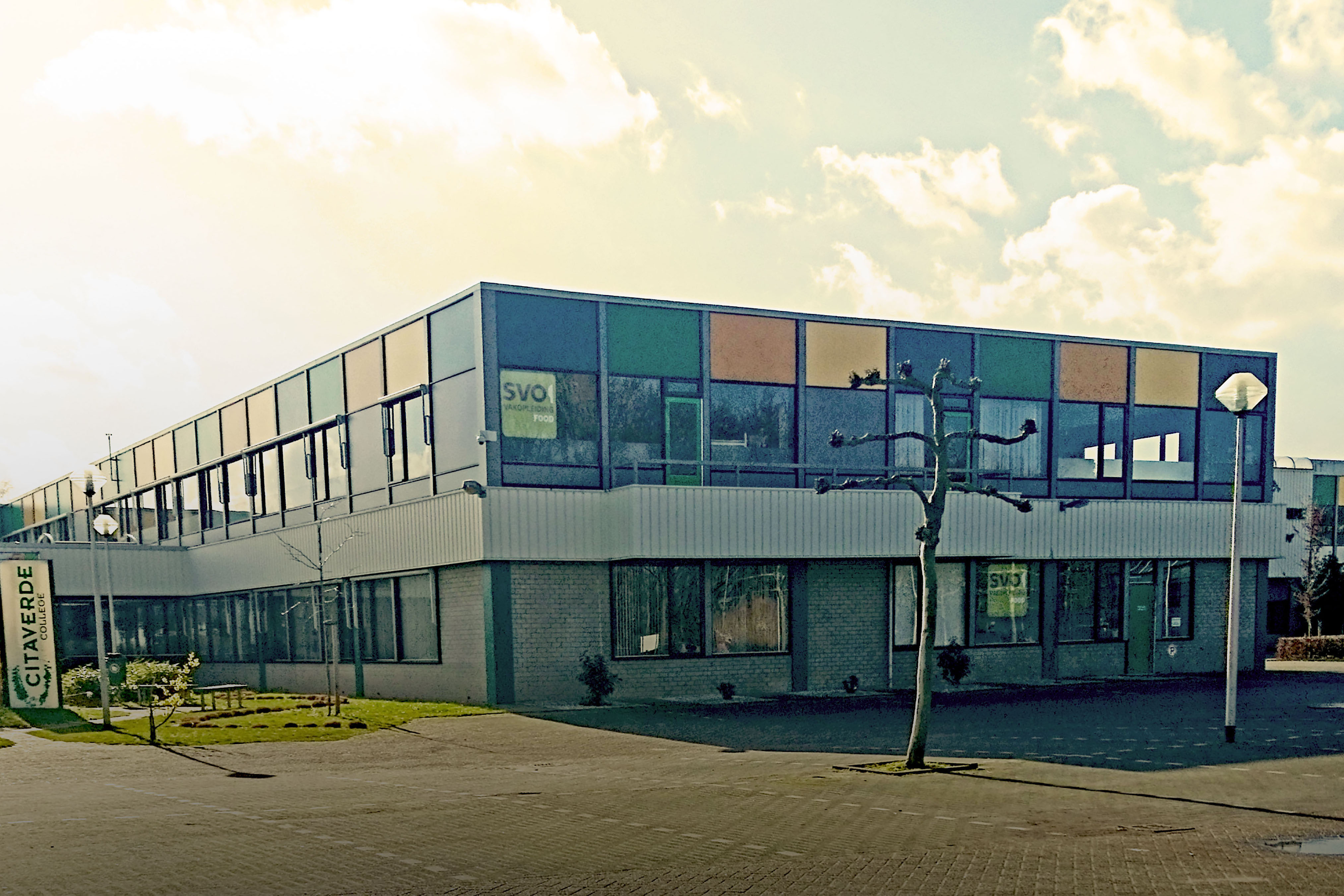 De virtuele campus adaptieveleeromgeving.jpg
