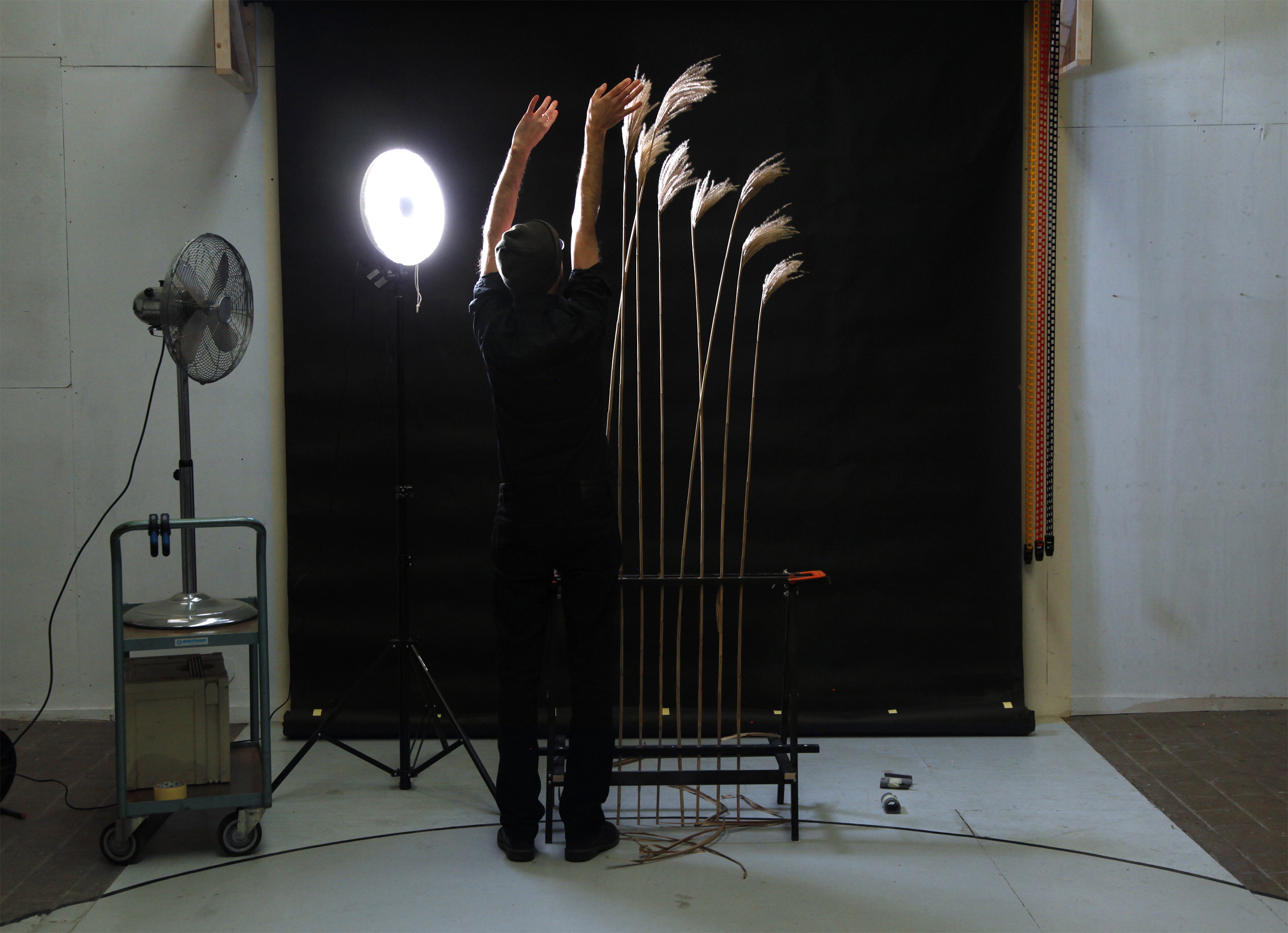 12 projects selected in Immerse\Interact round 1 – 2020 rietfluit.jpg