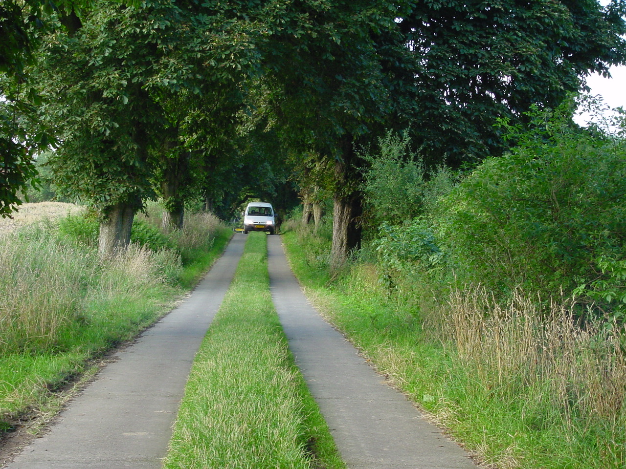 New Rural Mobility artgineering.jpg