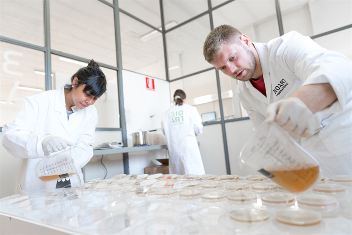 BioArt Laboratories 2019-2020 008representatieveafbeelding.jpg