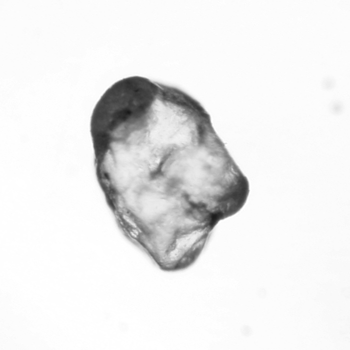 Pareidolia 008representatieveafbeelding.jpg