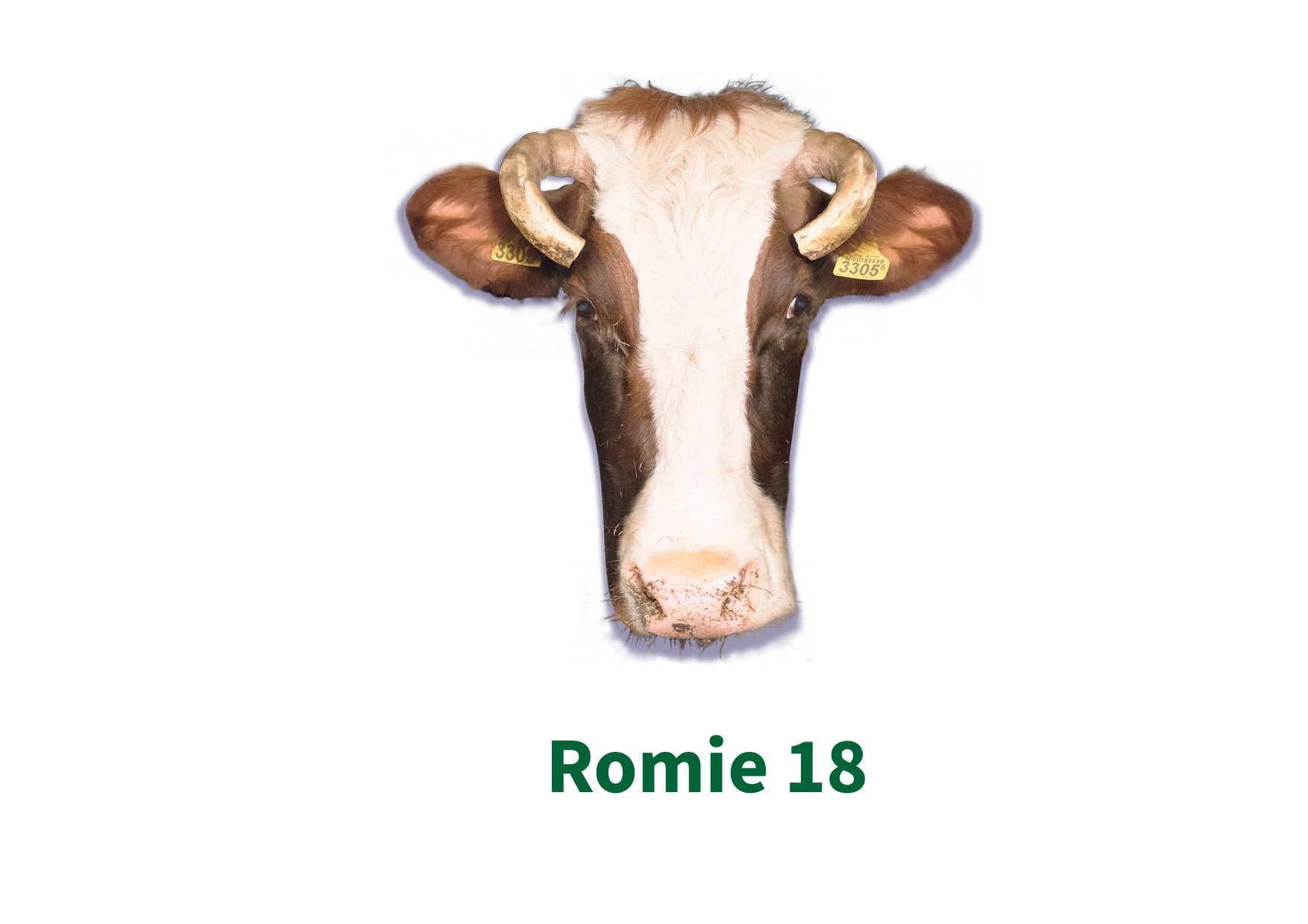 How to consume Romie 18 006representatieveafbeelding.jpg