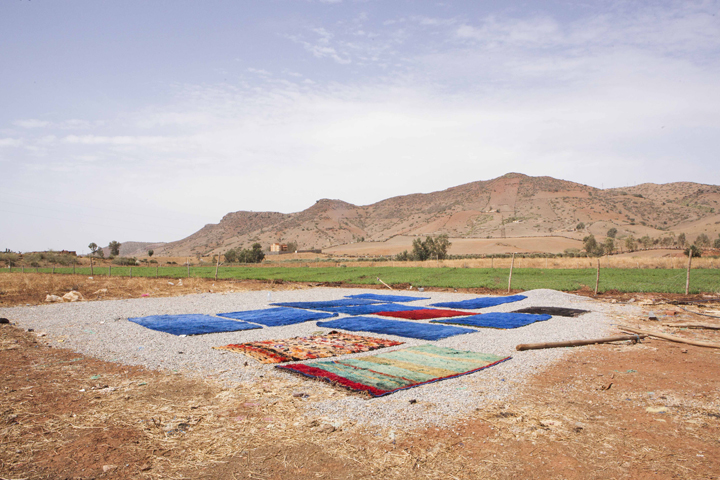 One Square Meter Berber onesquaremeterberberweb.jpg