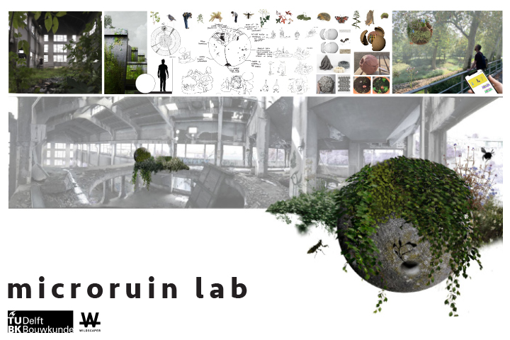 Microruin Lab microruin.jpg