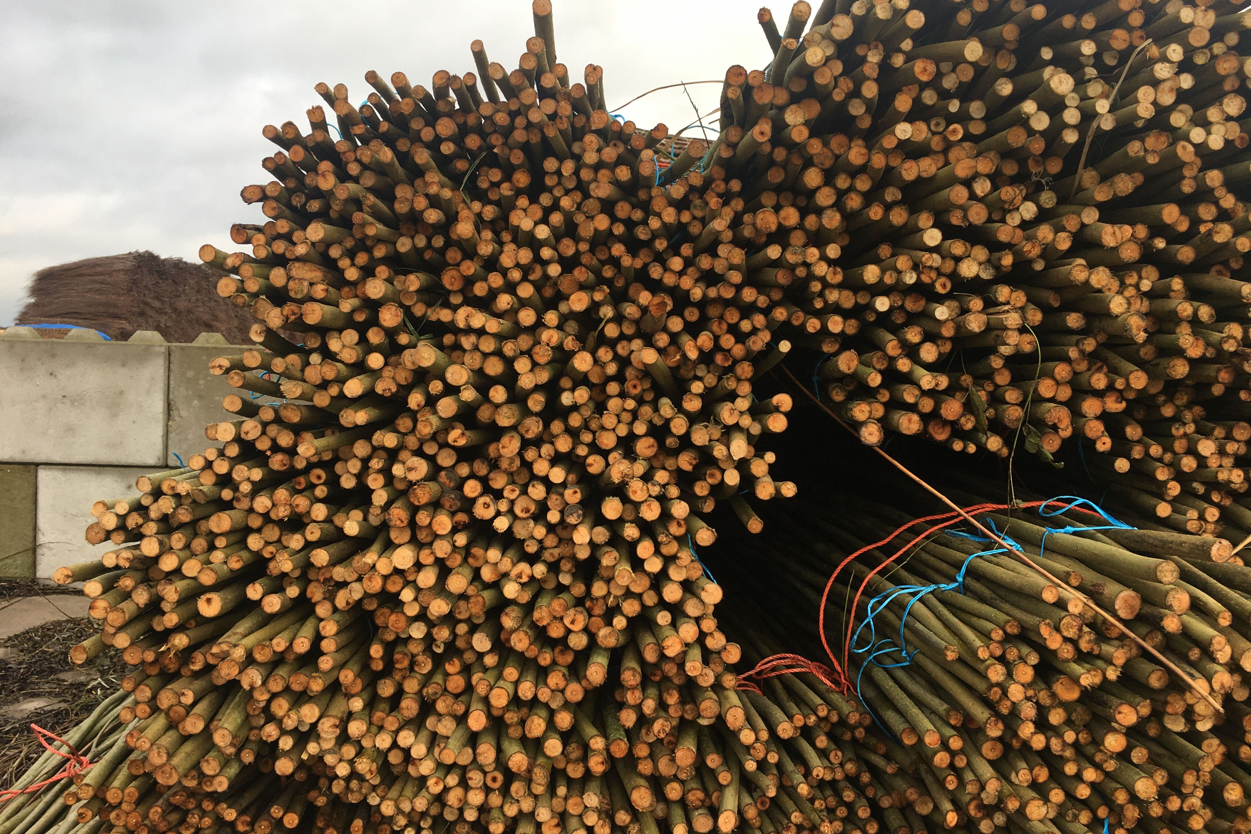 Open Oproep Eigentijds gebruik van ambacht I: Wiep christienweb.jpg