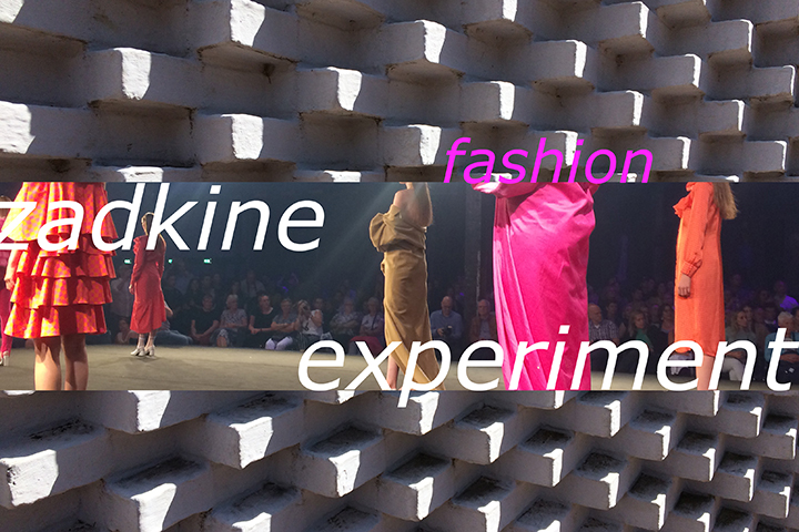 Zadkine Fashion Experiment krill.jpg