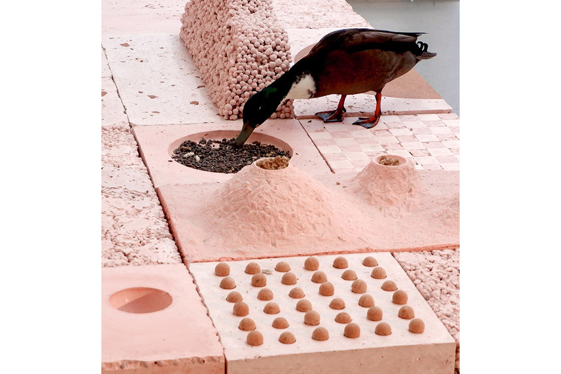 Bird Palace birdpalace2.jpg