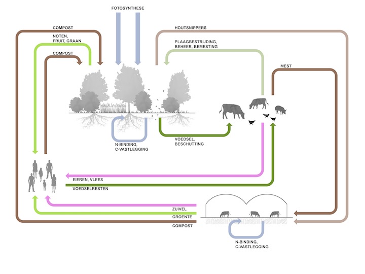 Design Lab Agroforestry agrobos.jpeg