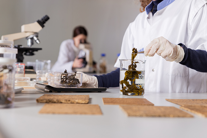 Ontwerpen voor biodiversiteit bluecitylabhiresjacquelinefuijkschotfoto.jpg