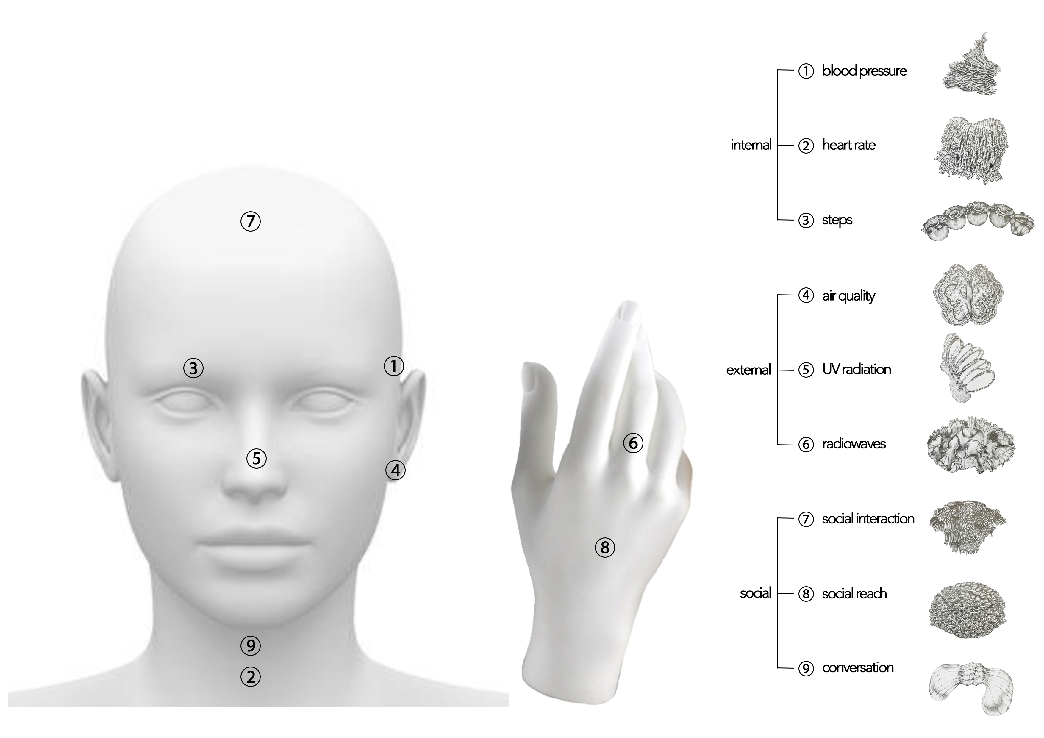 Prosthetic X prostheticx.jpeg