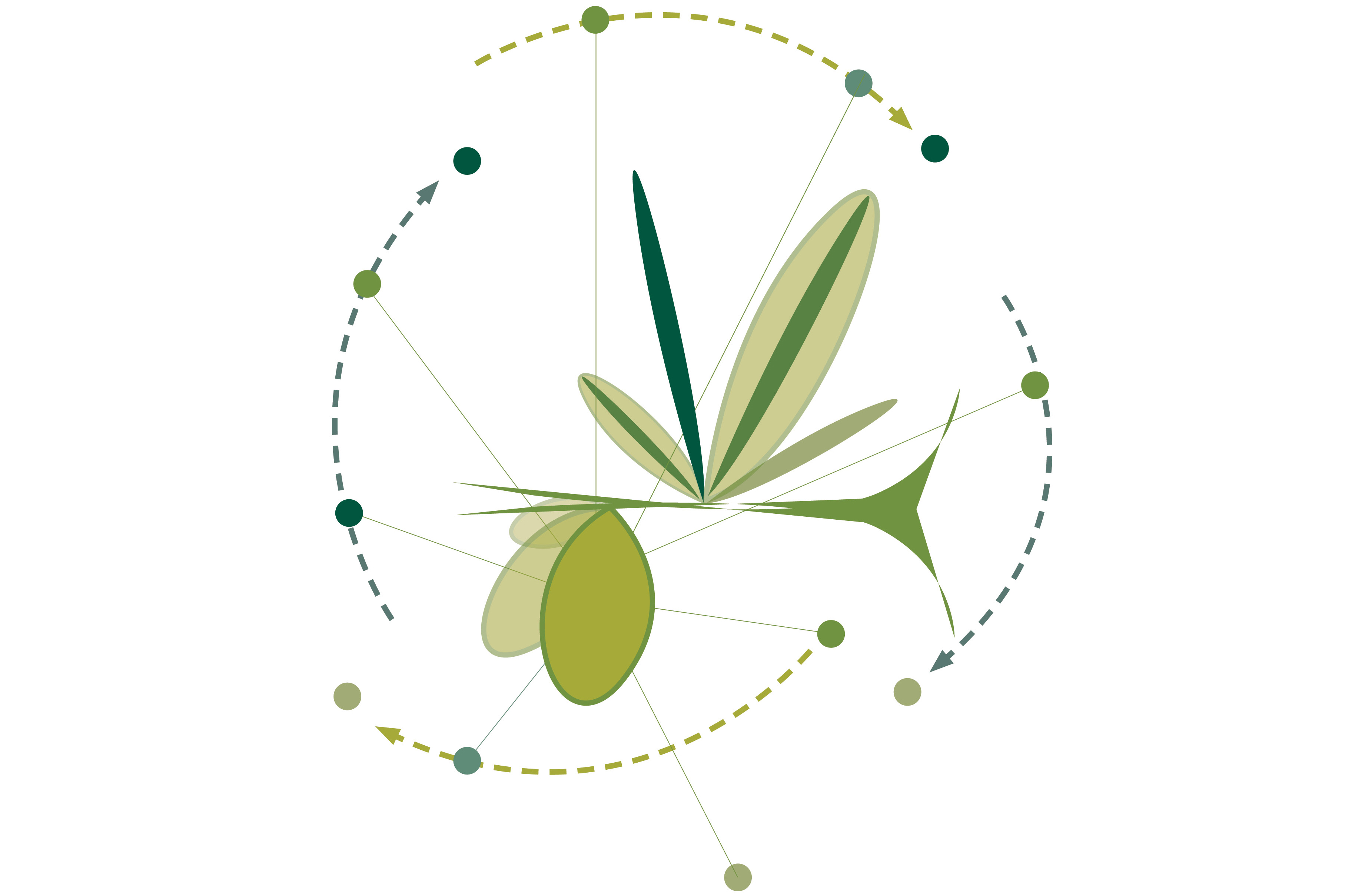 Pomace: Learning Circularity from Olive randomworks.jpg