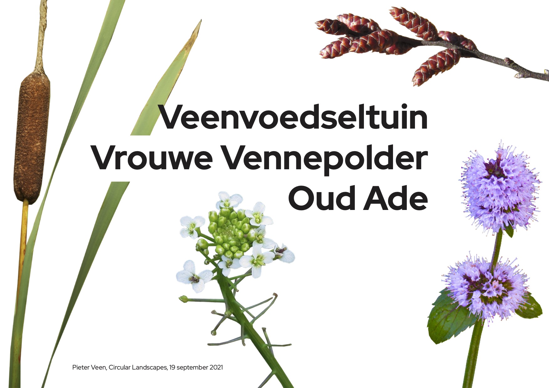Veenvoedseltuin Vrouwe Vennepolder circularlandscapesveenvoedseltuin.jpg