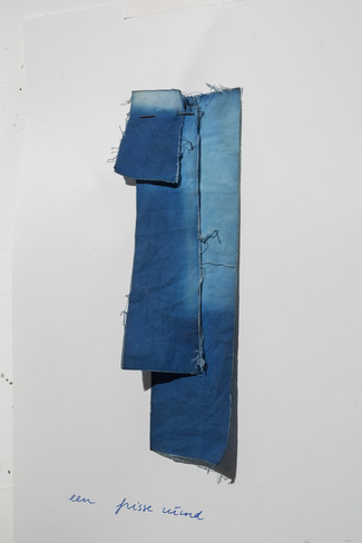 Aliki van der Kruijs