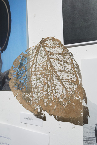 Aliki van der Kruijs