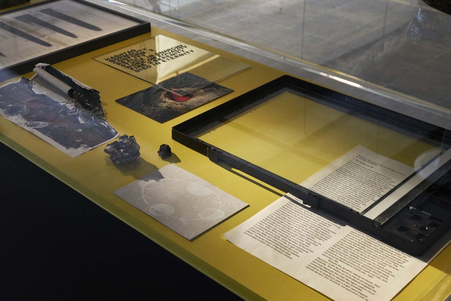 Lotte Lara Schröder