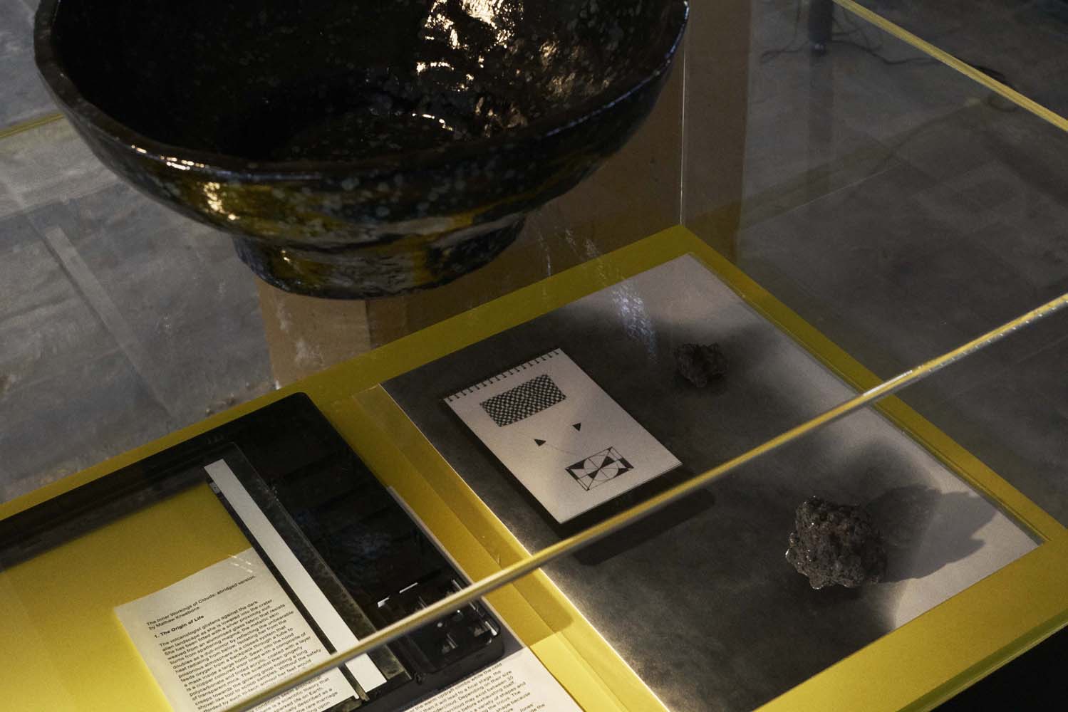 Lotte Lara Schröder