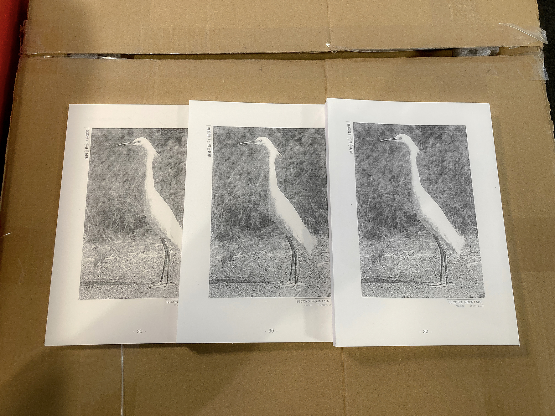 Theetat Thunkijjanukij