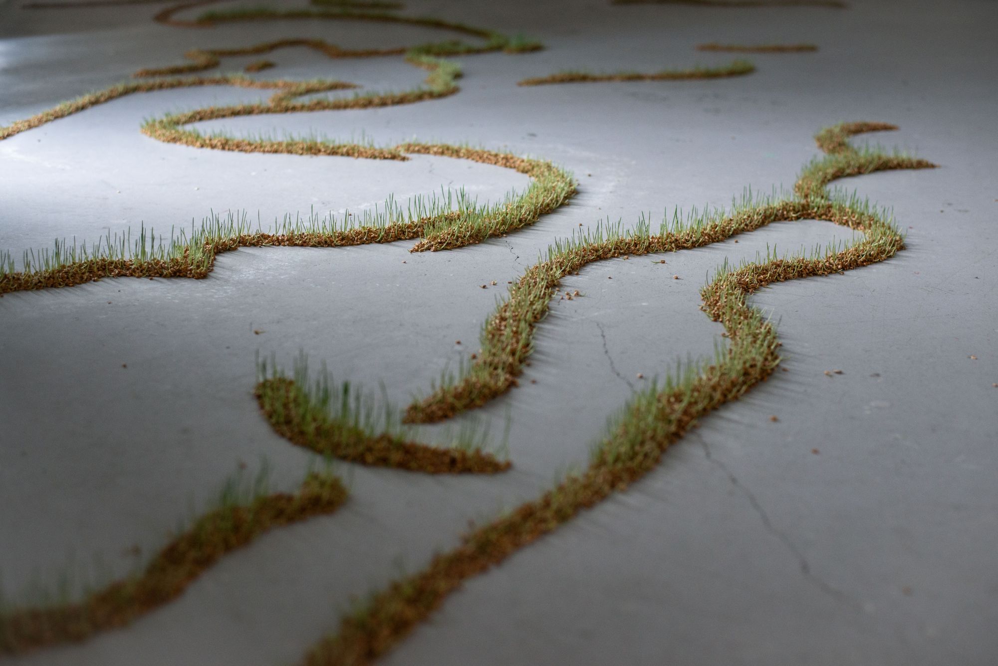 Sankrit Kulmanochawong